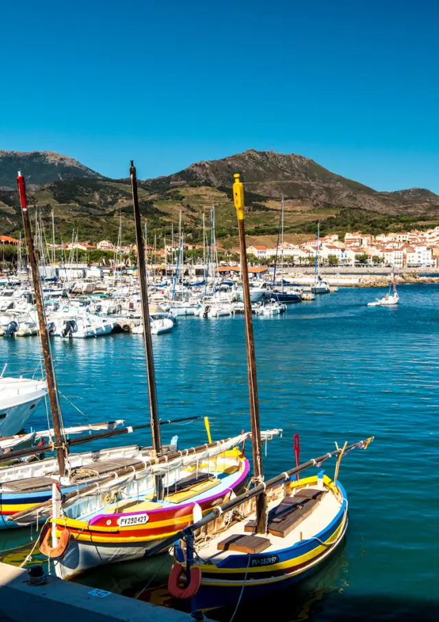 Port de Banyuls-sur-Mer avec ses barques catalanes colorées et ses bateaux de plaisance amarrés, sur fond de collines verdoyantes et de ciel bleu.