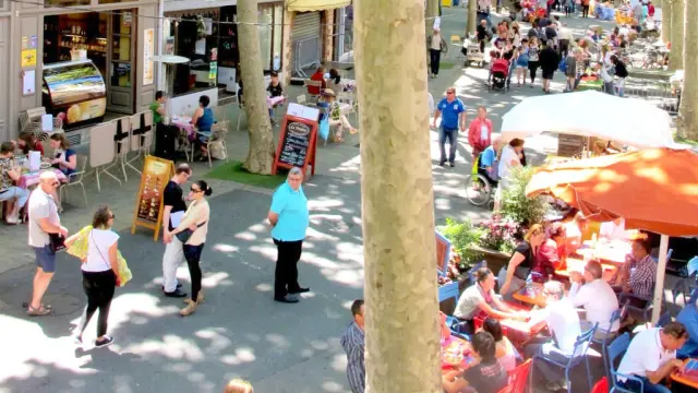 Vue animée des terrasses et du marché de Céret, avec de nombreux passants profitant du soleil sous les platanes emblématiques de la ville.