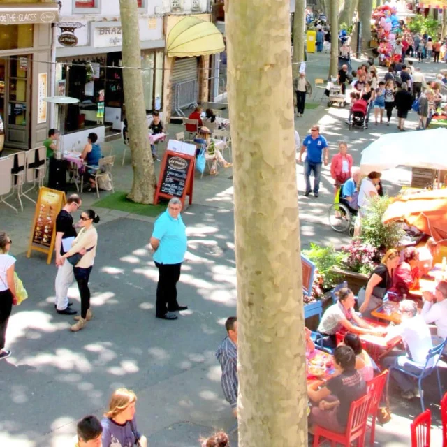 Vue animée des terrasses et du marché de Céret, avec de nombreux passants profitant du soleil sous les platanes emblématiques de la ville.