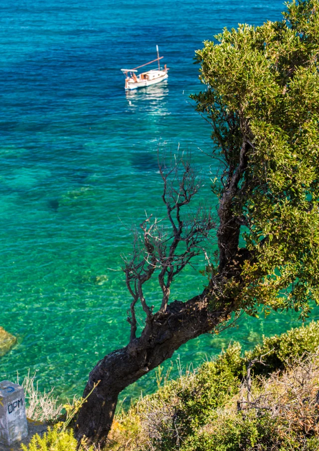 Vue plongeante sur une barque catalane flottant sur une mer turquoise, au pied d’une falaise couverte de végétation méditerranéenne.