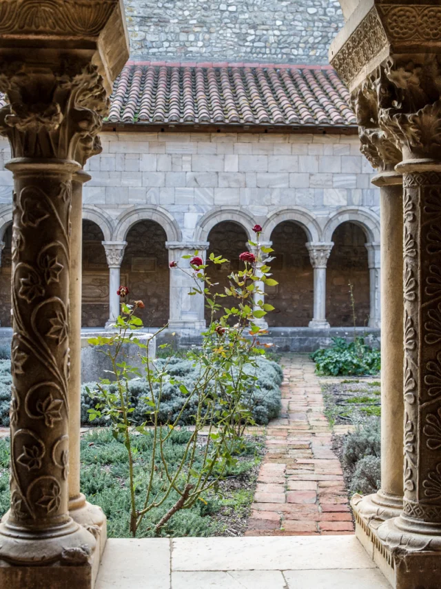 Vue du cloître roman avec ses colonnes sculptées et son jardin intérieur planté de lavandes et de rosiers.