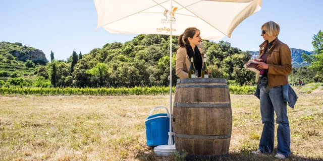 Dégustation de vins en plein air dans un vignoble, une vigneronne échange avec une visiteuse sous un parasol, bouteilles posées sur un tonneau.