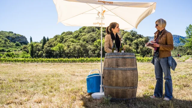 Dégustation de vins en plein air dans un vignoble, une vigneronne échange avec une visiteuse sous un parasol, bouteilles posées sur un tonneau.