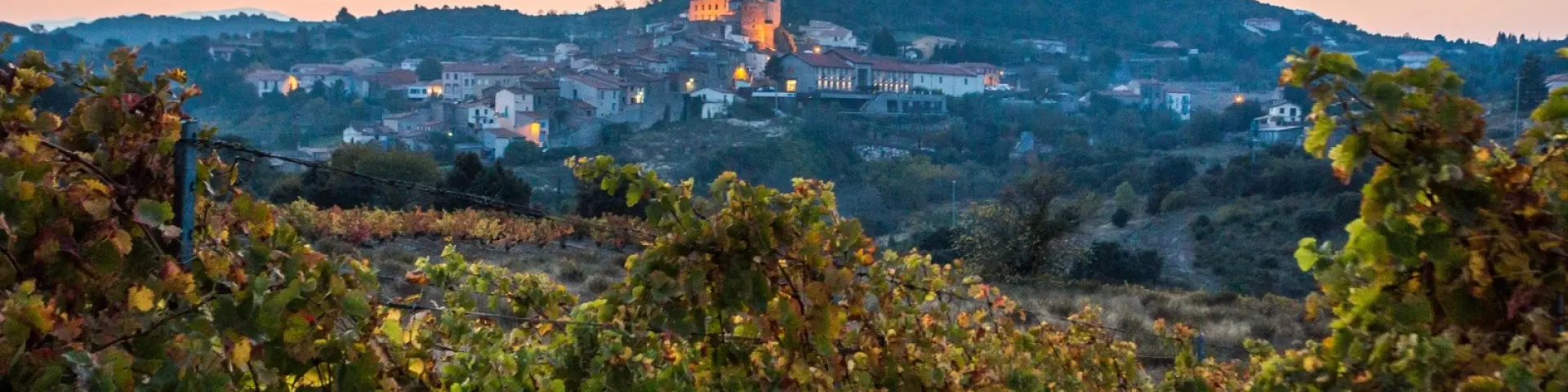 Vignes aux couleurs d’automne au premier plan, avec un village perché éclairé par les lumières du soir sous un ciel pastel.