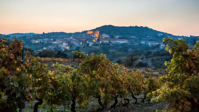 Vignes aux couleurs d’automne au premier plan, avec un village perché éclairé par les lumières du soir sous un ciel pastel.
