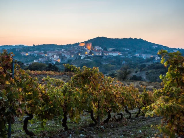 Vignes aux couleurs d’automne au premier plan, avec un village perché éclairé par les lumières du soir sous un ciel pastel.