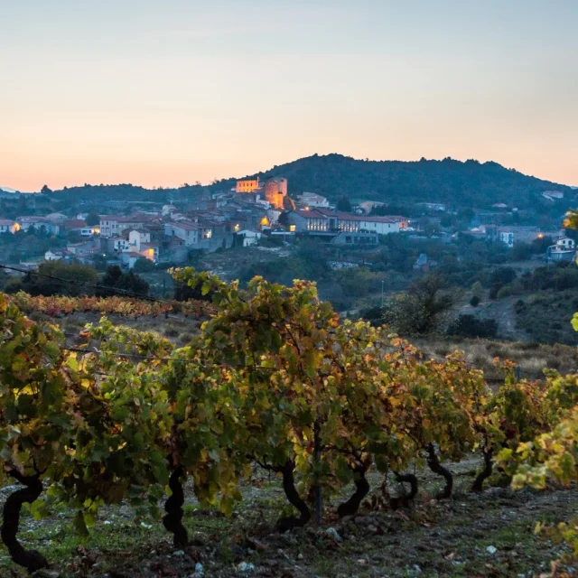 Vignes aux couleurs d’automne au premier plan, avec un village perché éclairé par les lumières du soir sous un ciel pastel.