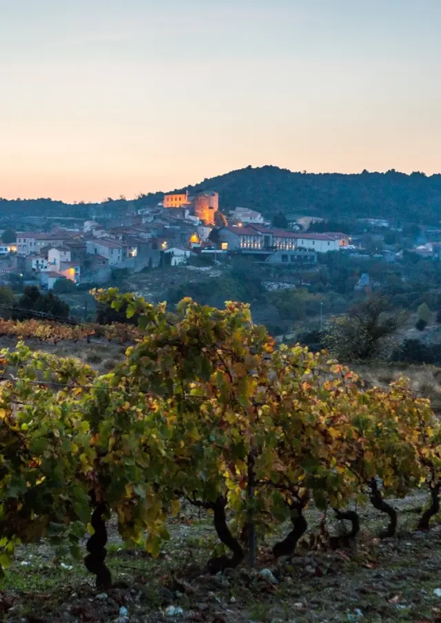 Vignes aux couleurs d’automne au premier plan, avec un village perché éclairé par les lumières du soir sous un ciel pastel.
