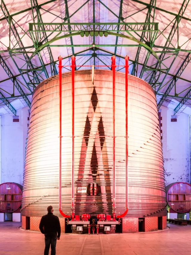Homme observant la plus grande cuve en chêne du monde aux Caves Byrrh de Thuir, éclairée par des lumières colorées sous une charpente métallique.