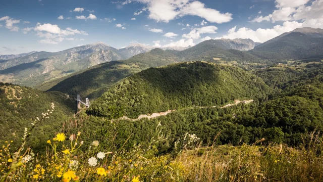 Vue panoramique sur les montagnes verdoyantes des Pyrénées-Orientales, avec au premier plan un champ fleuri et, en contrebas, le viaduc Séjourné du Train Jaune.depuis la Cerdagne.