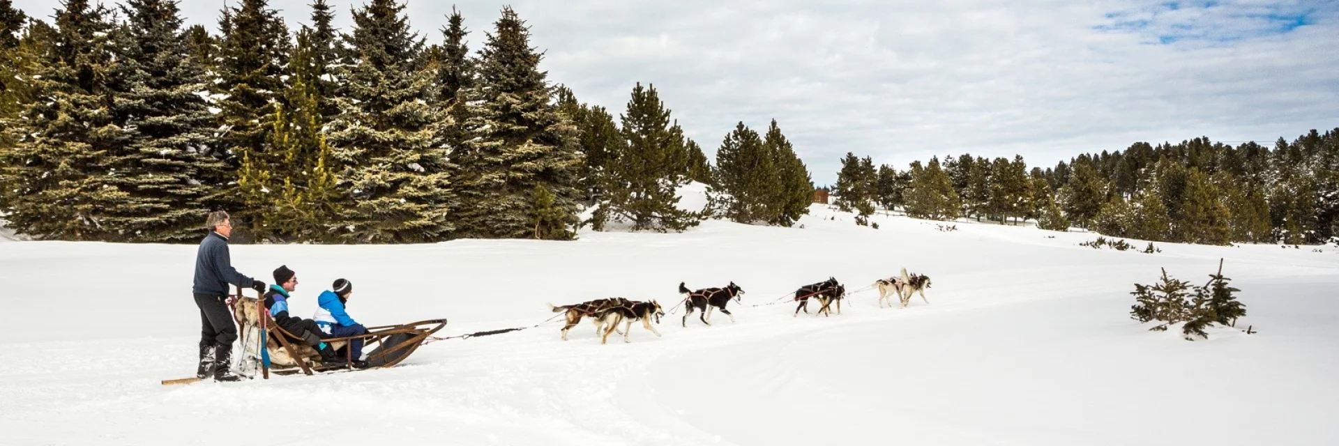 Attelage de chiens de traîneau en action à Font-Romeu, conduit par un musher sur la neige, au pied de la station des Airelles dans les Pyrénées Catalanes.