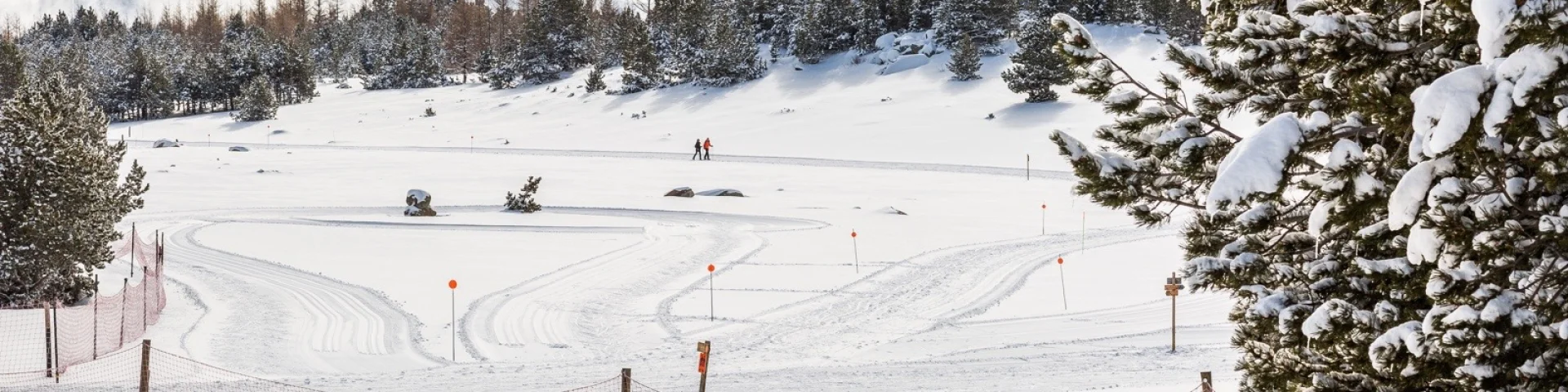 Paysage enneigé de Font-Romeu avec deux skieurs de fond évoluant sur une piste tracée entre les pins sous un ciel d’hiver lumineux.