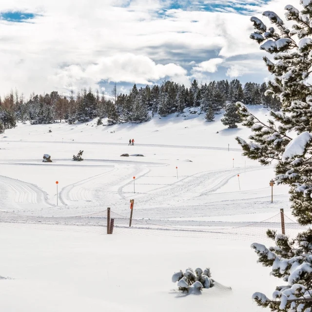 Paysage enneigé de Font-Romeu avec deux skieurs de fond évoluant sur une piste tracée entre les pins sous un ciel d’hiver lumineux.