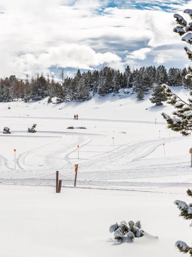 Paysage enneigé de Font-Romeu avec deux skieurs de fond évoluant sur une piste tracée entre les pins sous un ciel d’hiver lumineux.