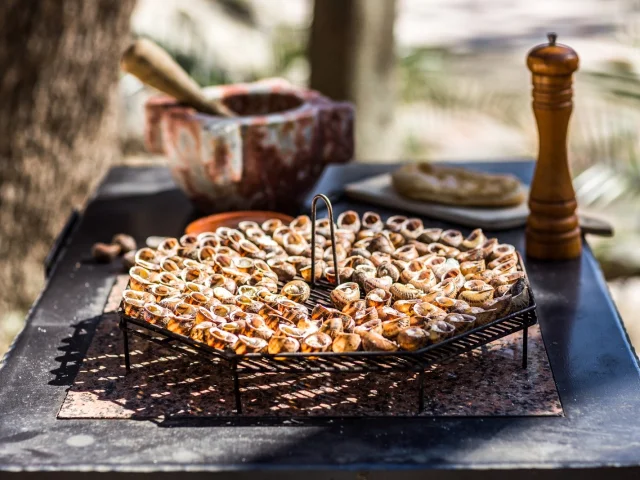 Plan rapproché d’une cargolade catalane : escargots grillés disposés sur une grille au-dessus du feu, plat traditionnel du Roussillon.