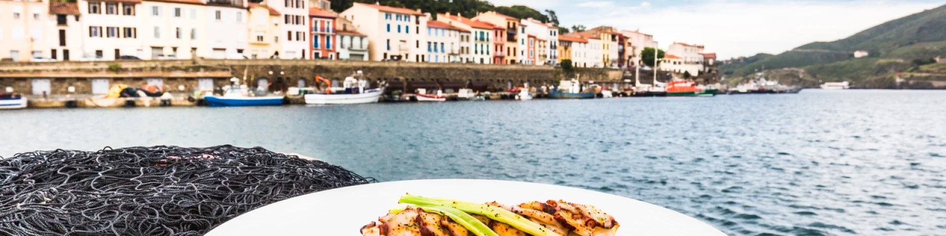 Assiette gastronomique de poisson et légumes dressée sur un filet de pêche, avec en arrière-plan le port et les maisons colorées de Collioure au bord de la mer Méditerranée.