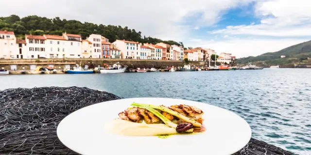 Assiette gastronomique de poisson et légumes dressée sur un filet de pêche, avec en arrière-plan le port et les maisons colorées de Collioure au bord de la mer Méditerranée.