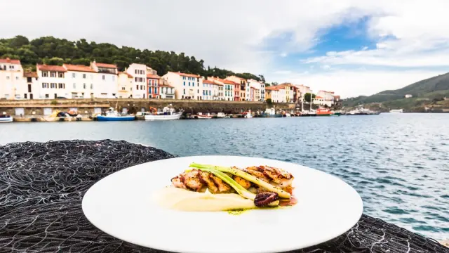 Assiette gastronomique de poisson et légumes dressée sur un filet de pêche, avec en arrière-plan le port et les maisons colorées de Collioure au bord de la mer Méditerranée.