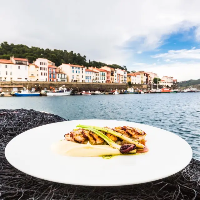 Assiette gastronomique de poisson et légumes dressée sur un filet de pêche, avec en arrière-plan le port et les maisons colorées de Collioure au bord de la mer Méditerranée.