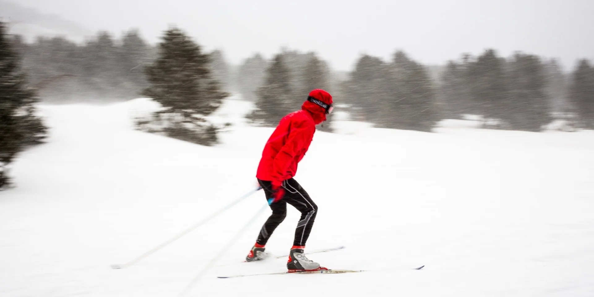 Skieur de fond en mouvement sous la neige, à La Calme, domaine nordique de Font-Romeu dans les Pyrénées-Orientales.