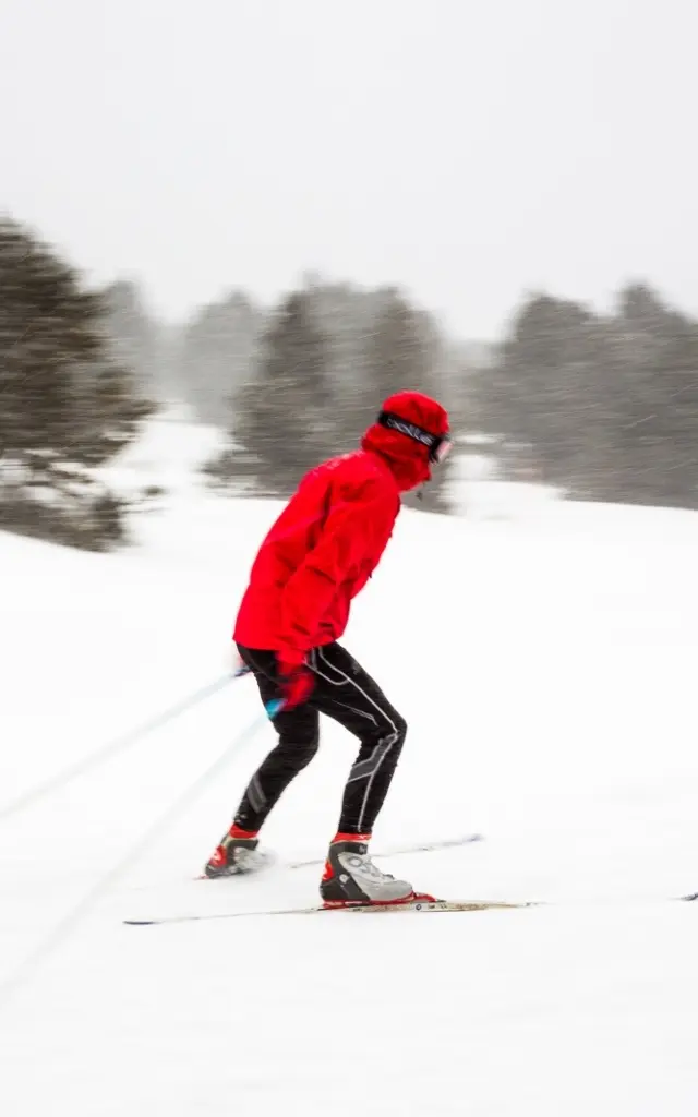 Skieur de fond en mouvement sous la neige, à La Calme, domaine nordique de Font-Romeu dans les Pyrénées-Orientales.