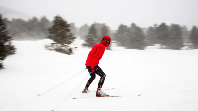 Skieur de fond en mouvement sous la neige, à La Calme, domaine nordique de Font-Romeu dans les Pyrénées-Orientales.