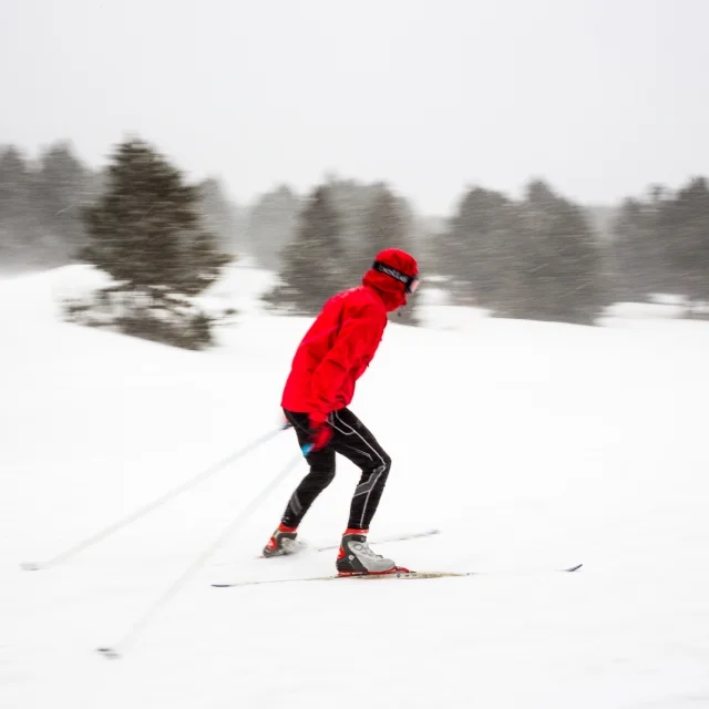 Skieur de fond en mouvement sous la neige, à La Calme, domaine nordique de Font-Romeu dans les Pyrénées-Orientales.