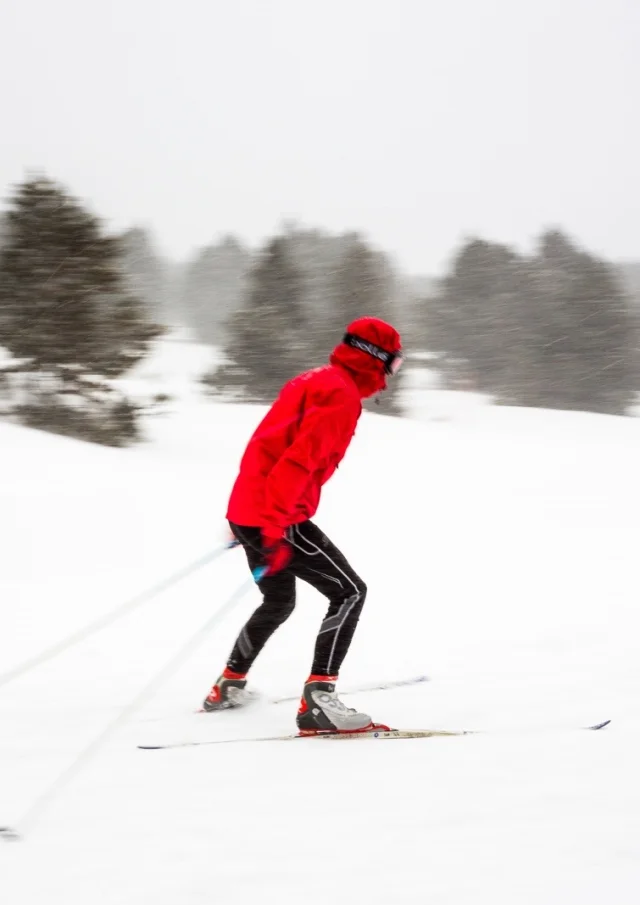 Skieur de fond en mouvement sous la neige, à La Calme, domaine nordique de Font-Romeu dans les Pyrénées-Orientales.