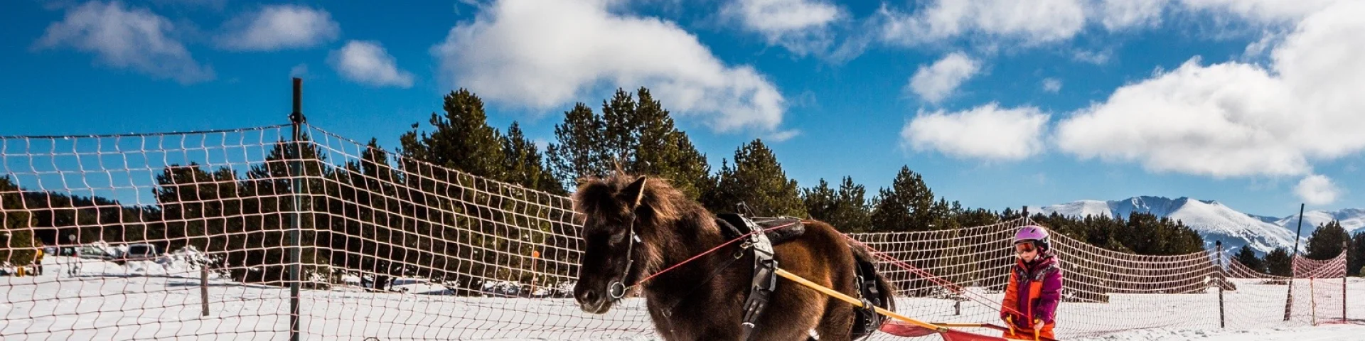 Ski Joring, ski tiré par un cheval à la Calme, ici avec un enfant tiré par un poney.