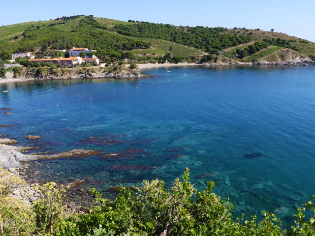 Vue sur une crique de la Côte Vermeille bordée de collines verdoyantes et de vignes, avec des eaux turquoise et des bâtiments aux toits orangés en bord de mer.