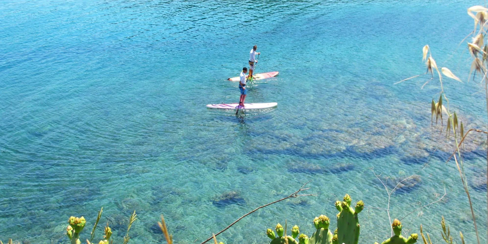 Deux personnes pratiquent le stand up paddle sur une eau turquoise bordée de végétation méditerranéenne et de figuiers de Barbarie.