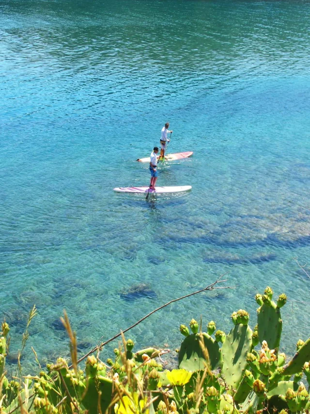 Deux personnes pratiquent le stand up paddle sur une eau turquoise bordée de végétation méditerranéenne et de figuiers de Barbarie.