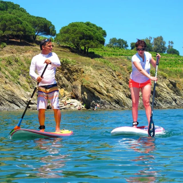 Deux personnes pratiquent le stand up paddle sur une mer calme, au pied de falaises rocheuses couvertes de vignes et de pins.