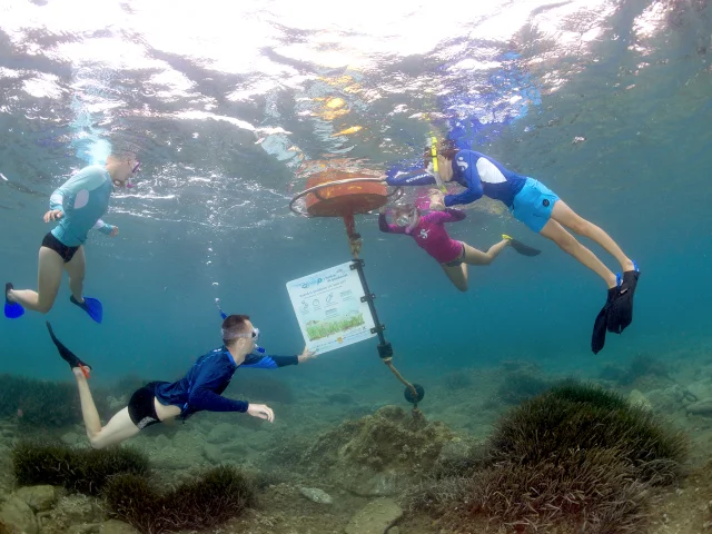 Groupe de personnes en palmes et tuba observant un panneau d’information sous-marin le long d’un sentier de découverte, dans une eau claire.