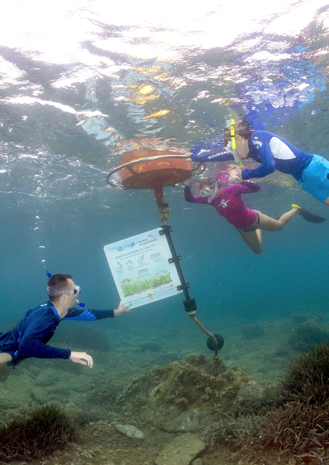 Groupe de personnes en palmes et tuba observant un panneau d’information sous-marin le long d’un sentier de découverte, dans une eau claire.