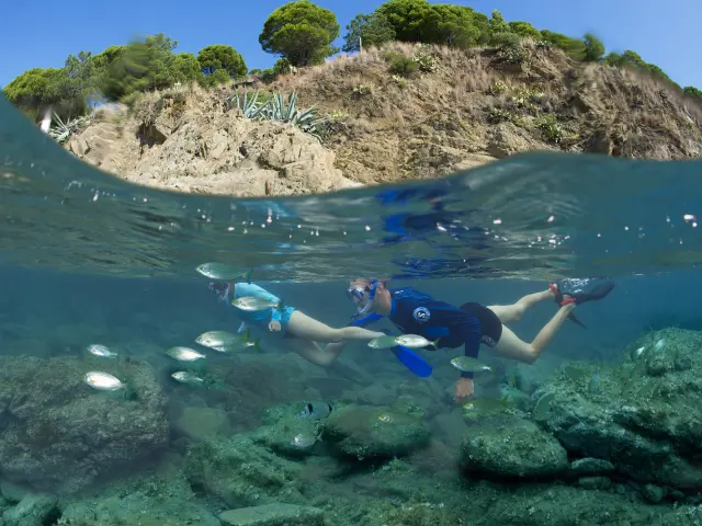 Deux personnes équipées de palmes, masque et tuba nagent au-dessus des rochers et observent des poissons dans les eaux claires du sentier sous-marin de Banyuls-sur-Mer.