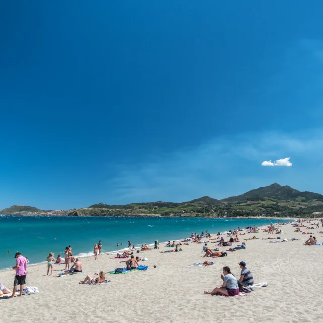 Plage de sable fin bordée par la mer turquoise à Banyuls-sur-Mer, avec des baigneurs profitant du soleil et des montagnes verdoyantes en arrière-plan.