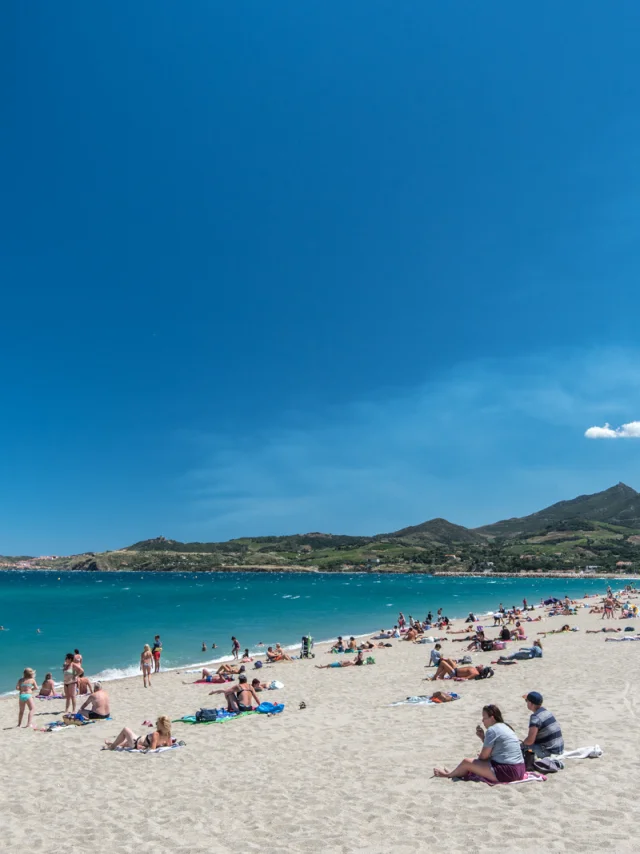 Plage de sable fin bordée par la mer turquoise à Banyuls-sur-Mer, avec des baigneurs profitant du soleil et des montagnes verdoyantes en arrière-plan.