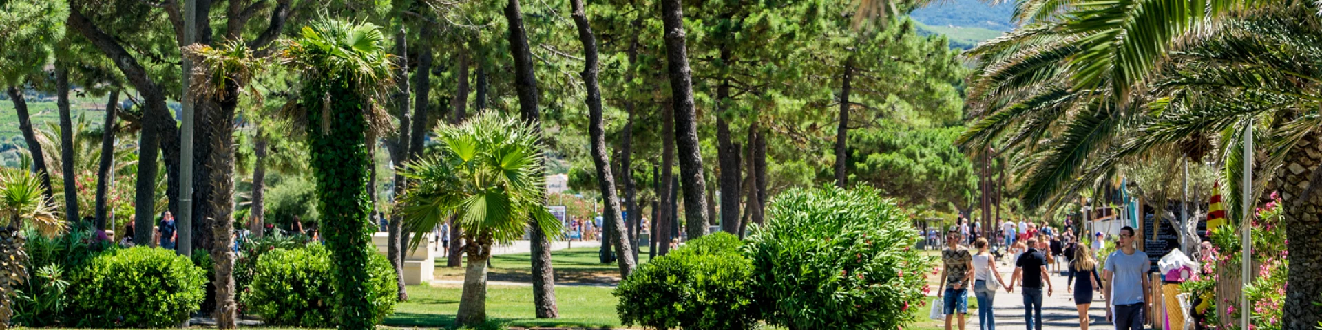 Promenade piétonne bordée de palmiers et de pins, animée par des promeneurs sous le soleil, dans un cadre verdoyant et méditerranéen.