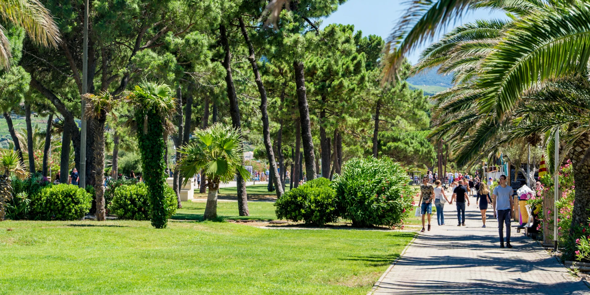 Promenade piétonne bordée de palmiers et de pins, animée par des promeneurs sous le soleil, dans un cadre verdoyant et méditerranéen.