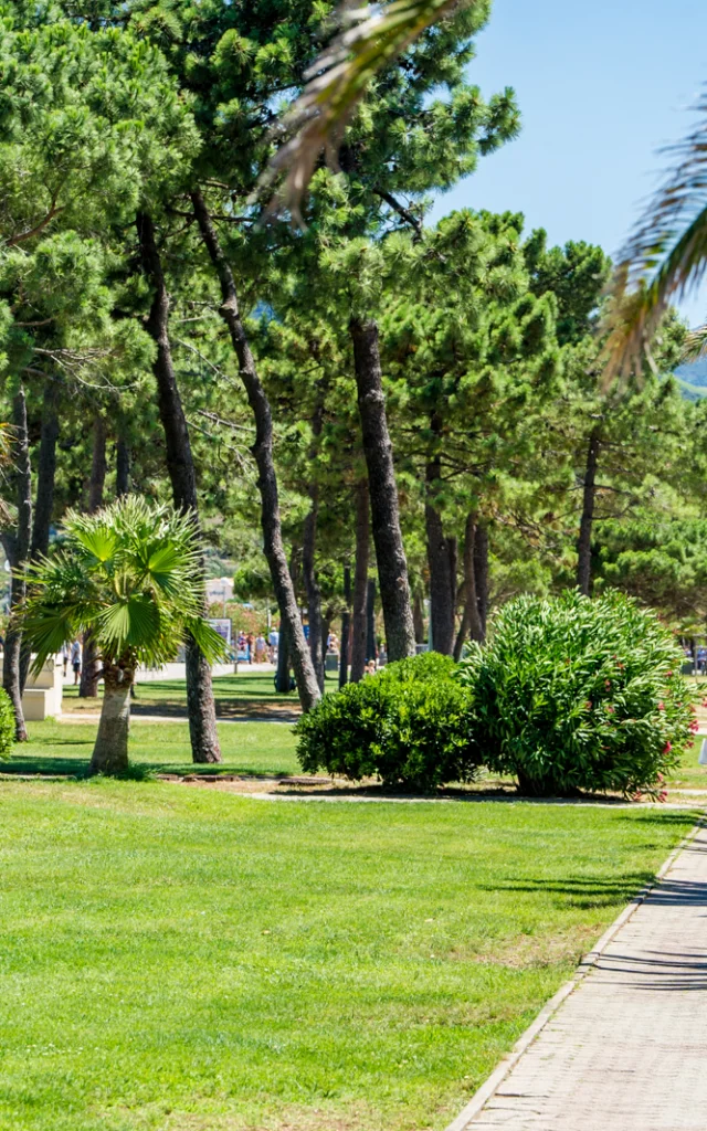 Promenade piétonne bordée de palmiers et de pins, animée par des promeneurs sous le soleil, dans un cadre verdoyant et méditerranéen.