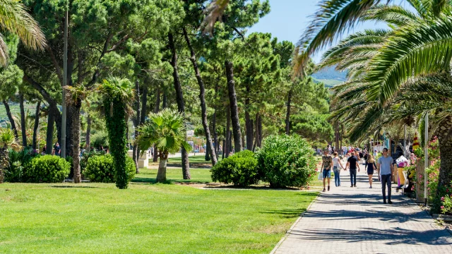 Promenade piétonne bordée de palmiers et de pins, animée par des promeneurs sous le soleil, dans un cadre verdoyant et méditerranéen.