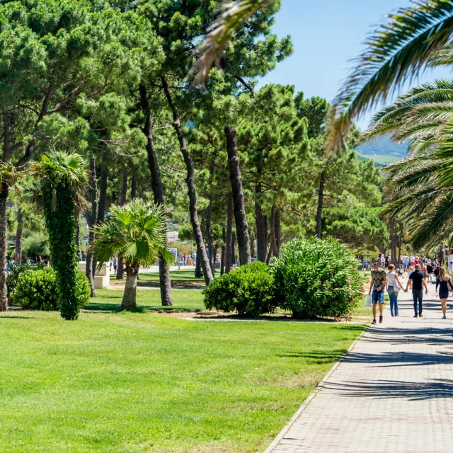 Promenade piétonne bordée de palmiers et de pins, animée par des promeneurs sous le soleil, dans un cadre verdoyant et méditerranéen.