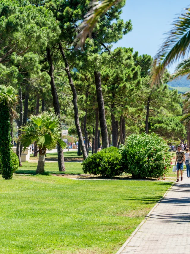 Promenade piétonne bordée de palmiers et de pins, animée par des promeneurs sous le soleil, dans un cadre verdoyant et méditerranéen.
