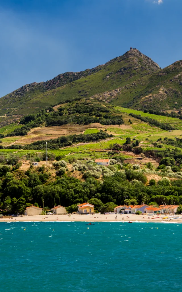 Vue sur la plage bordée de collines verdoyantes et de vignes en terrasses descendant jusqu’à la mer Méditerranée sous un ciel bleu.