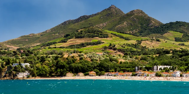 Vue sur la plage bordée de collines verdoyantes et de vignes en terrasses descendant jusqu’à la mer Méditerranée sous un ciel bleu.