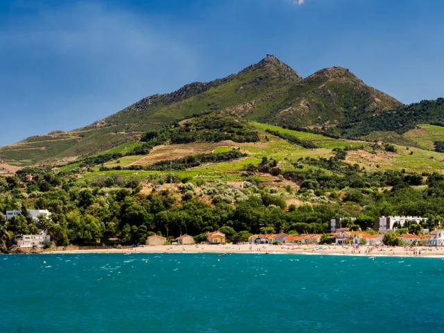 Vue sur la plage bordée de collines verdoyantes et de vignes en terrasses descendant jusqu’à la mer Méditerranée sous un ciel bleu.
