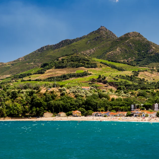 Vue sur la plage bordée de collines verdoyantes et de vignes en terrasses descendant jusqu’à la mer Méditerranée sous un ciel bleu.