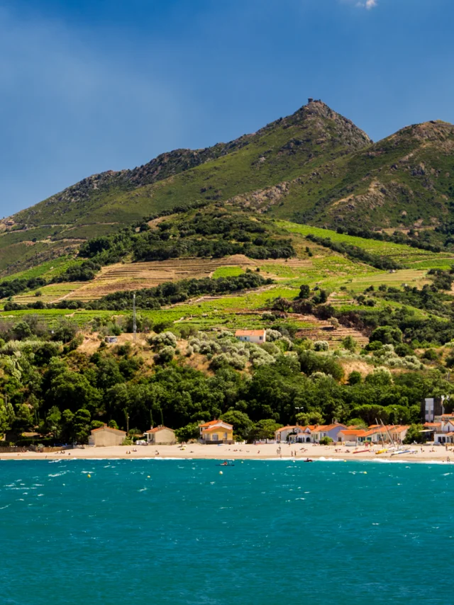 Vue sur la plage bordée de collines verdoyantes et de vignes en terrasses descendant jusqu’à la mer Méditerranée sous un ciel bleu.