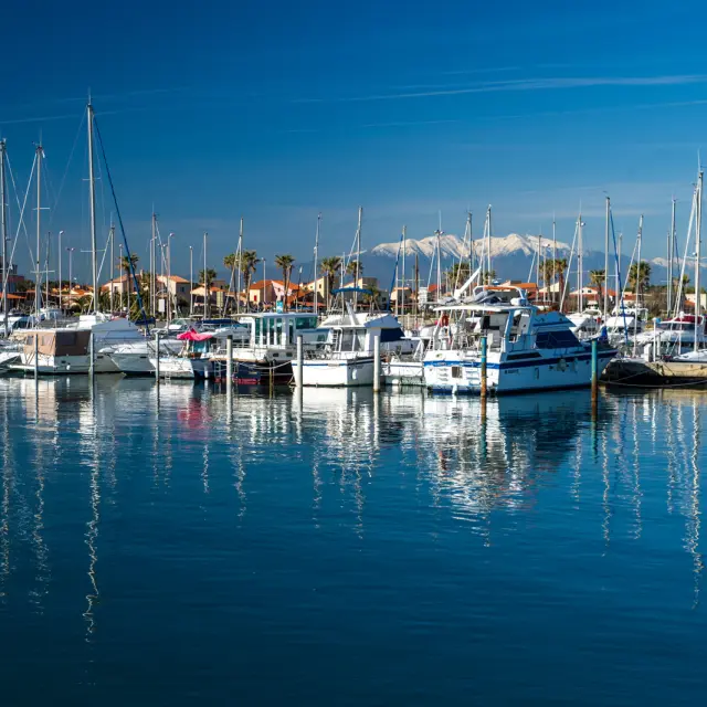 Port de plaisance animé avec voiliers et bateaux amarrés à quai, sous un ciel bleu limpide, avec en arrière-plan les montagnes enneigées du Canigó.